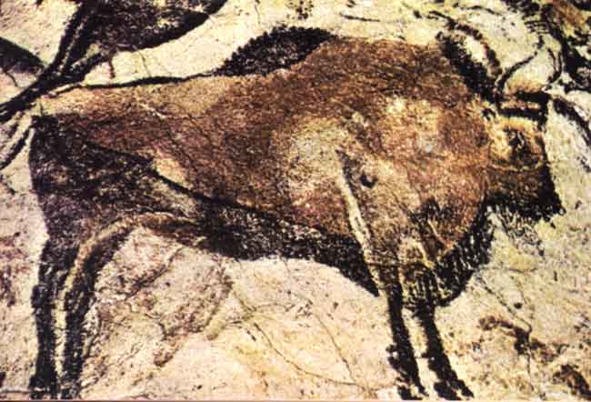 Gravure préhistorique